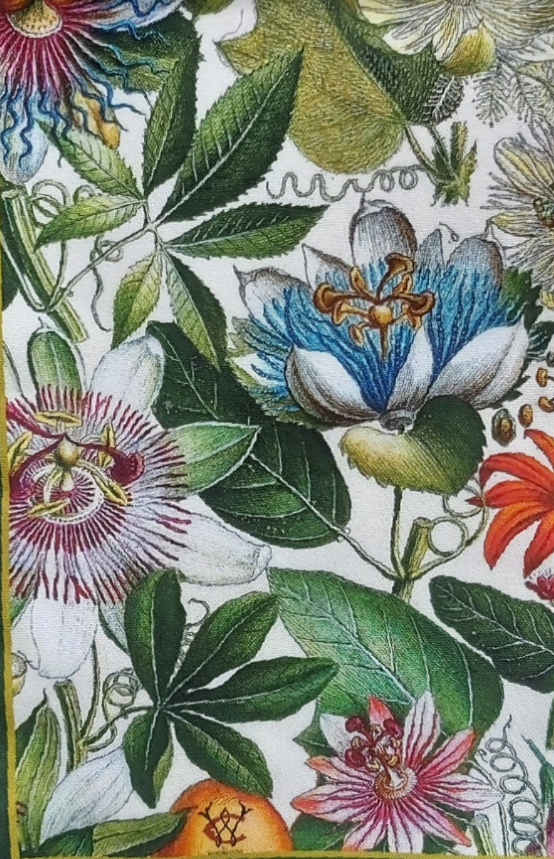 Passionflower Antique Botanical Print Tea Towel Cerise Edge – Brambles ...